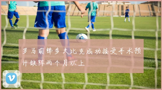 罗马前锋多夫比克成功接受手术预计缺阵两个月以上